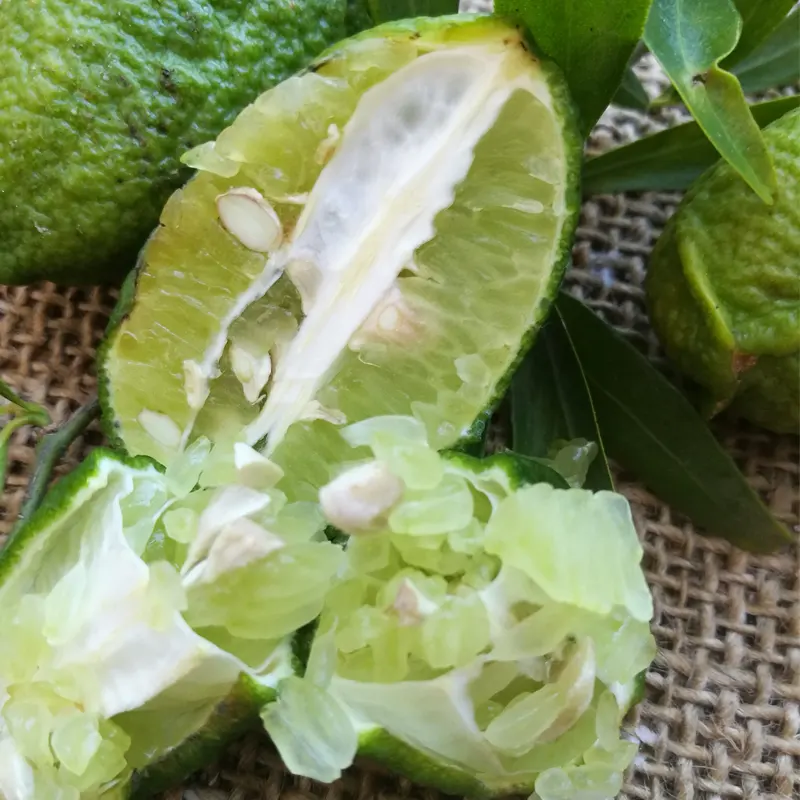 Микроцитрус Папуана / Microcitrus Papuana — цитрусовое растение, детальное фото
