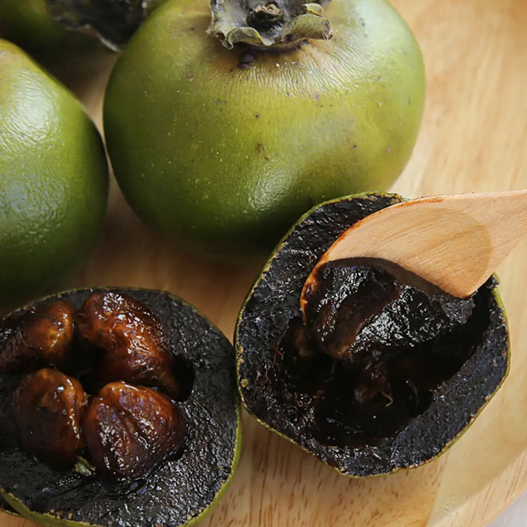 Сапота черная / Diospyros nigra