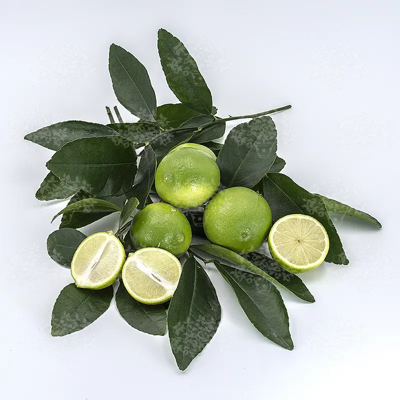 Лайм Таити / Lime Tahitian — цитрусовое растение, детальное фото
