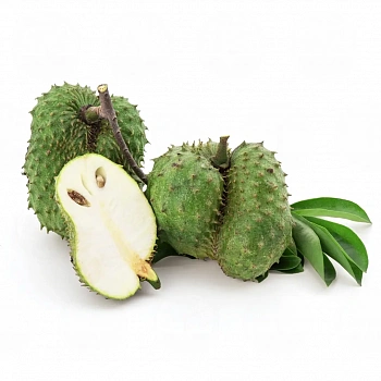 Аннона муриката / Annona muricata / Гуанабана/ Сметанное яблоко